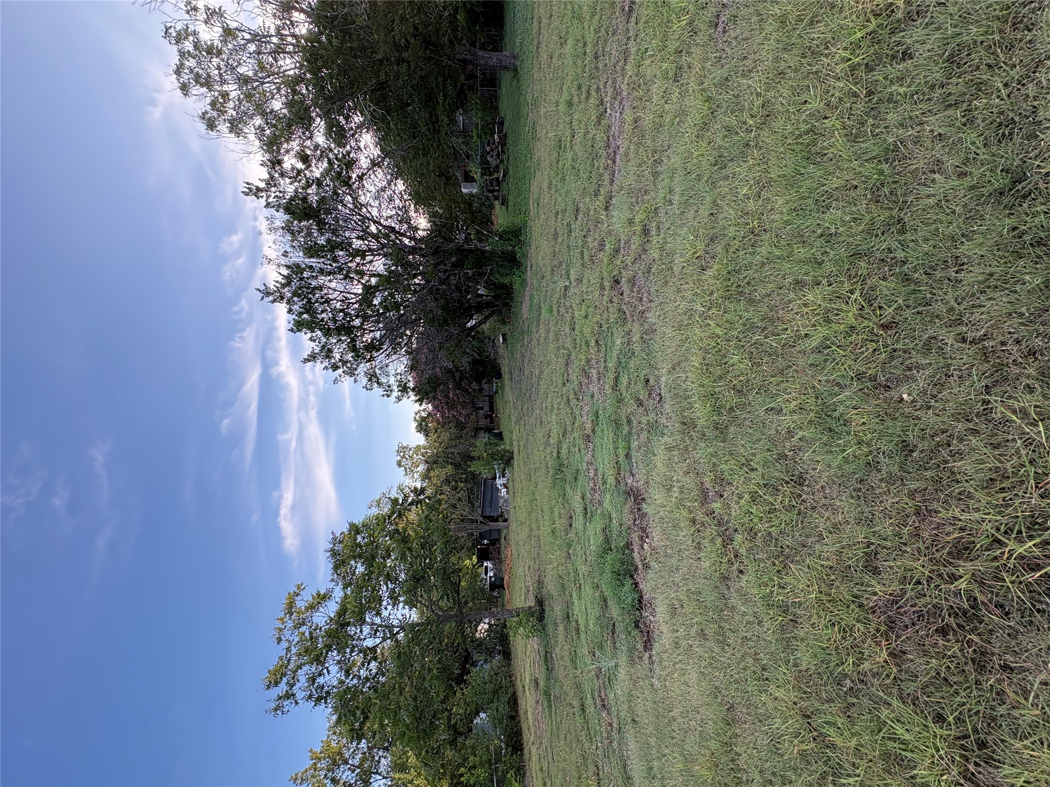 165 Quail Ridge Drive Kyle, TX 78640 - Photo 7 of 8 Vast green acreage awaits your custom vision, dotted with mature trees under an expansive sky.