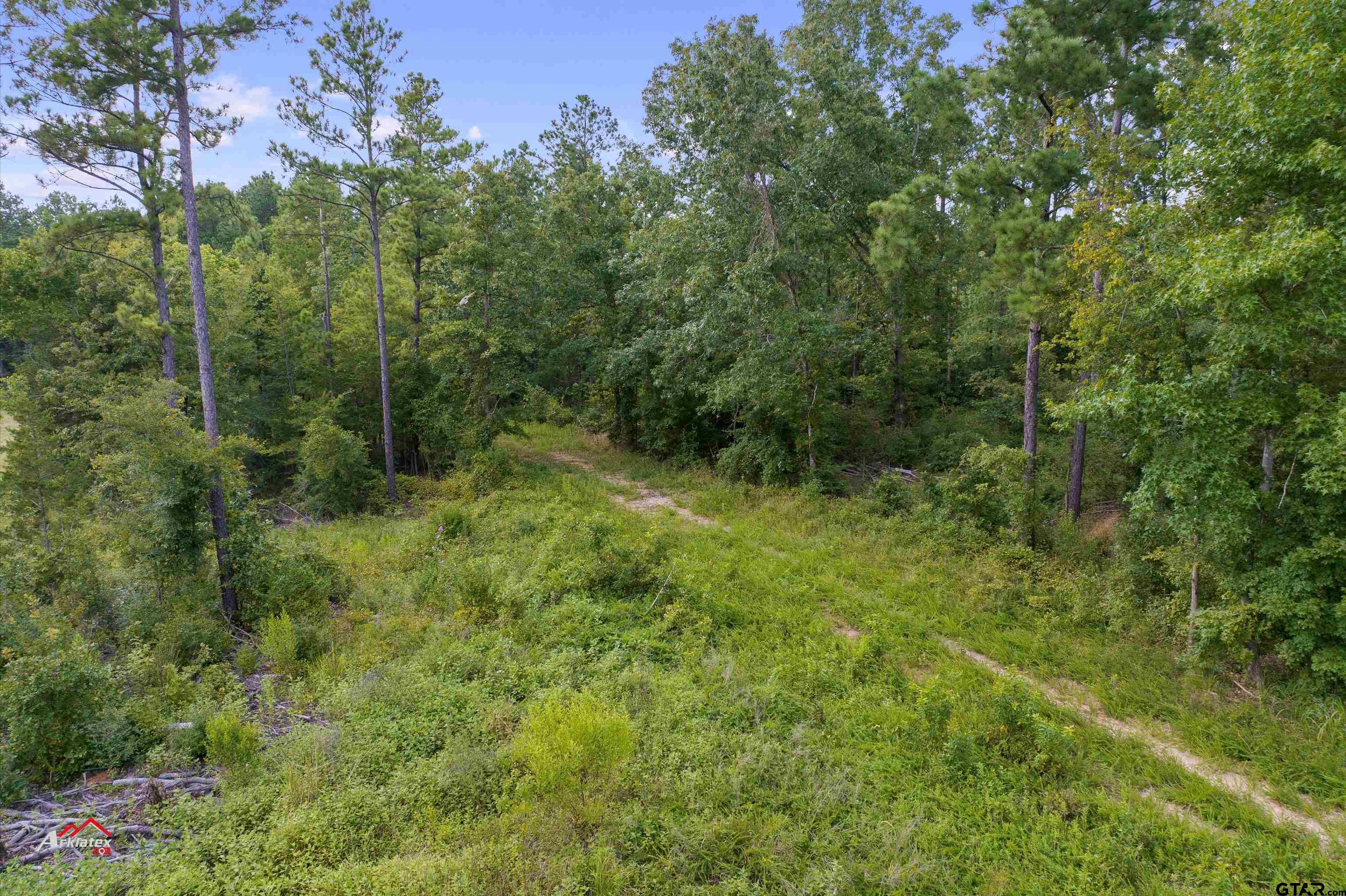 25.975 Ac Fm 2658 Tatum, TX 75691 - Photo 12 of 14