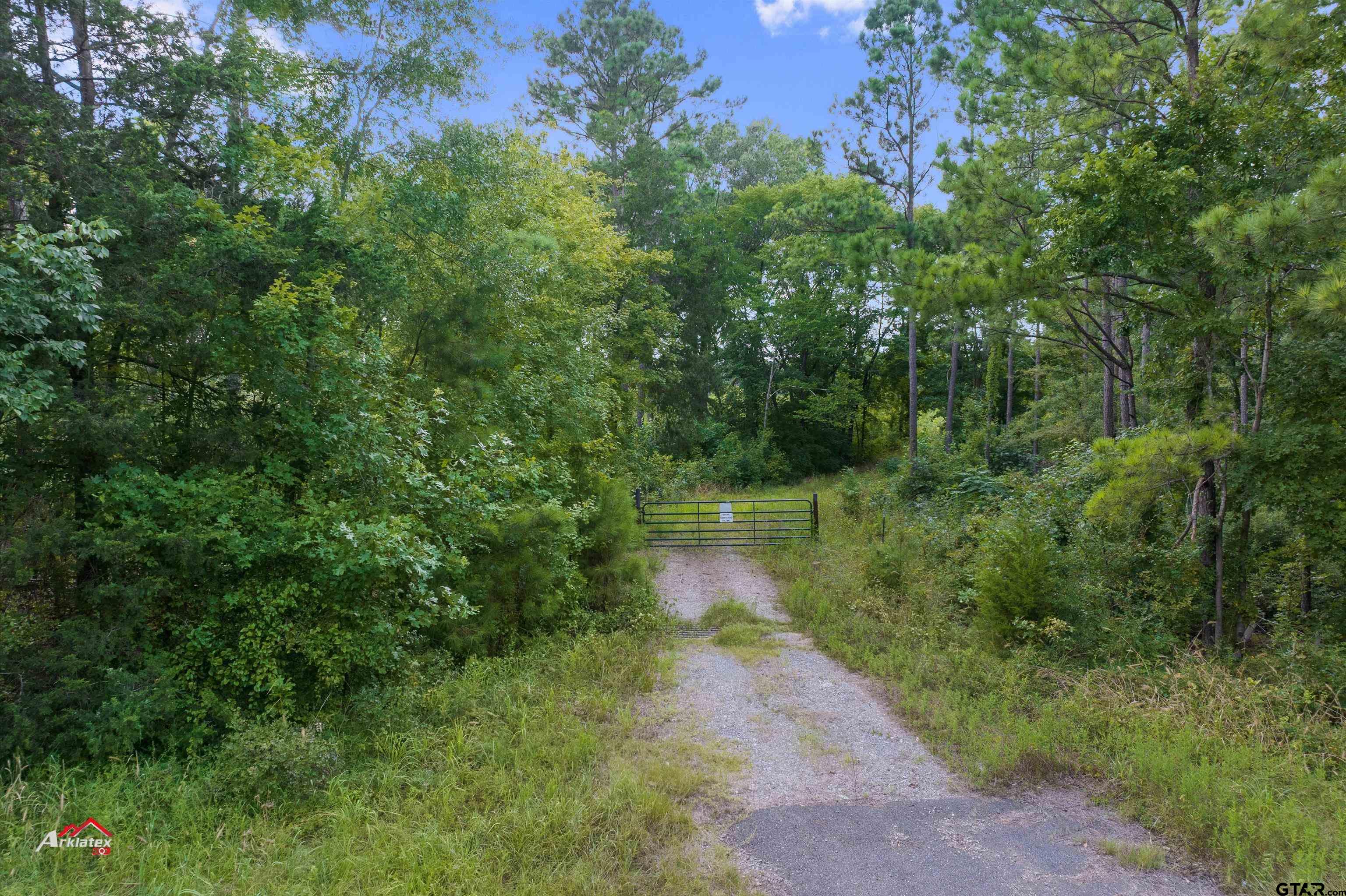 25.975 Ac Fm 2658 Tatum, TX 75691 - Photo 14 of 14