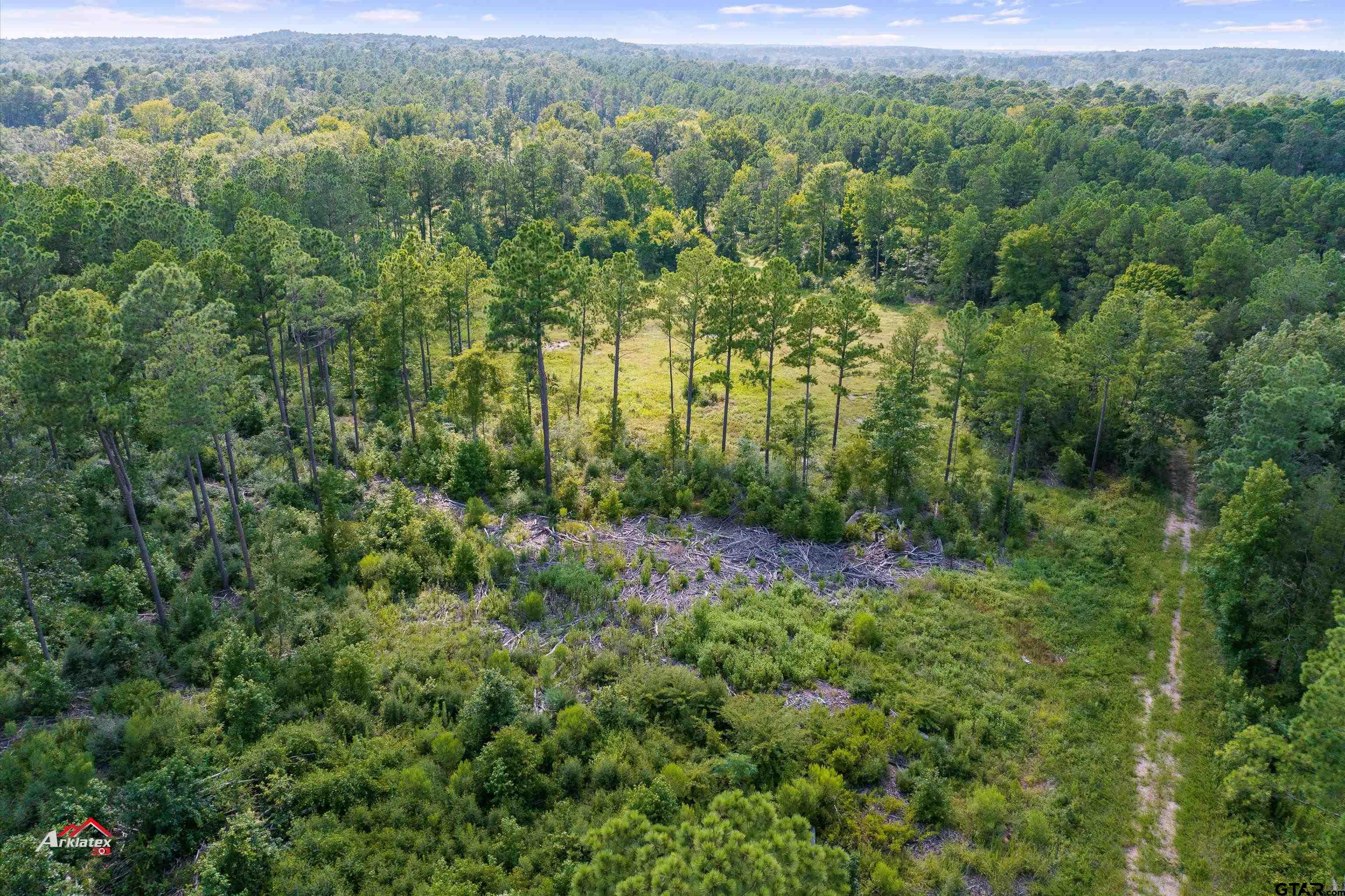 25.975 Ac Fm 2658 Tatum, TX 75691 - Photo 5 of 14