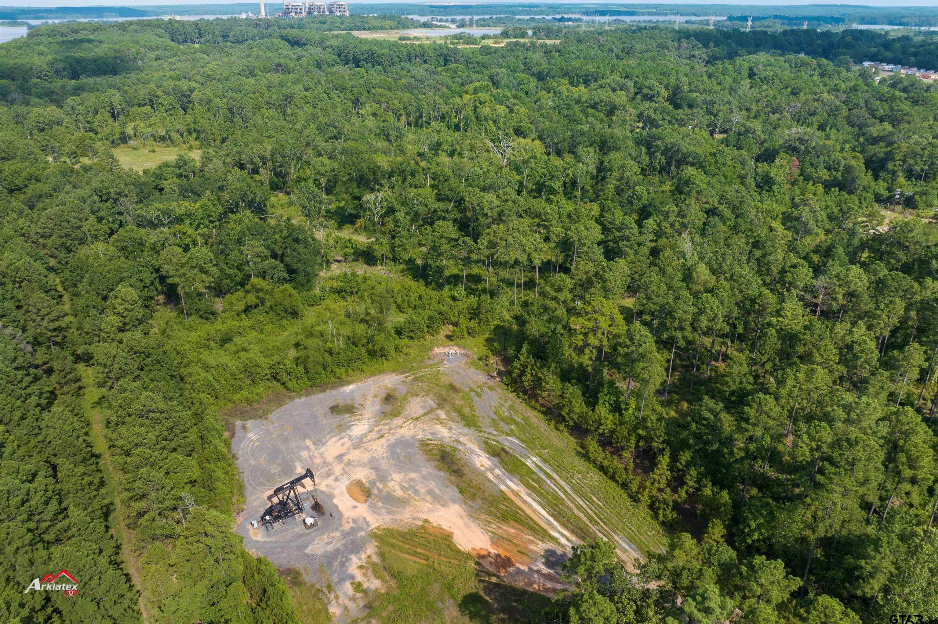 25.975 Ac Fm 2658 Tatum, TX 75691 - Photo 6 of 14