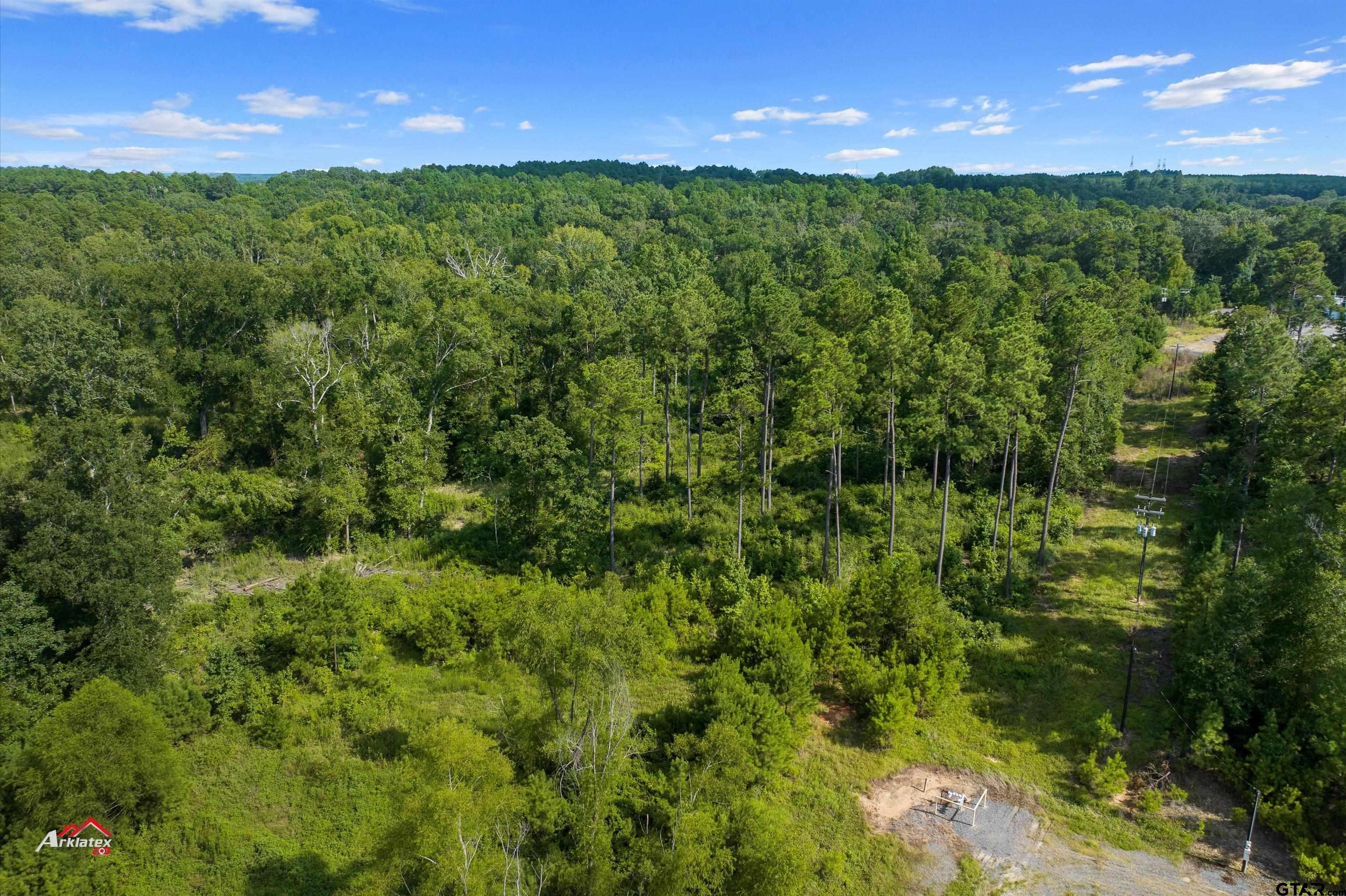 25.975 Ac Fm 2658 Tatum, TX 75691 - Photo 7 of 14