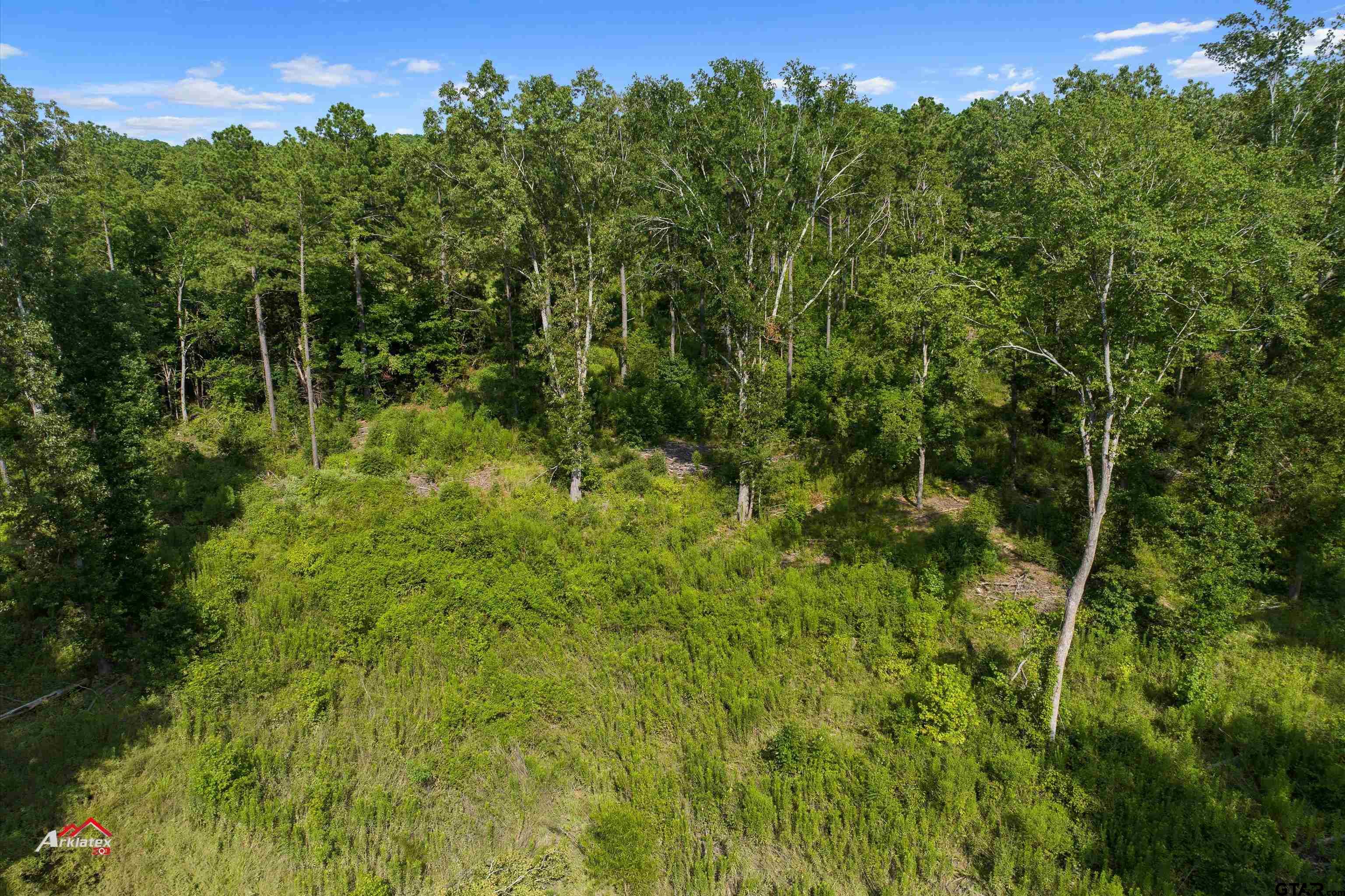 25.975 Ac Fm 2658 Tatum, TX 75691 - Photo 8 of 14