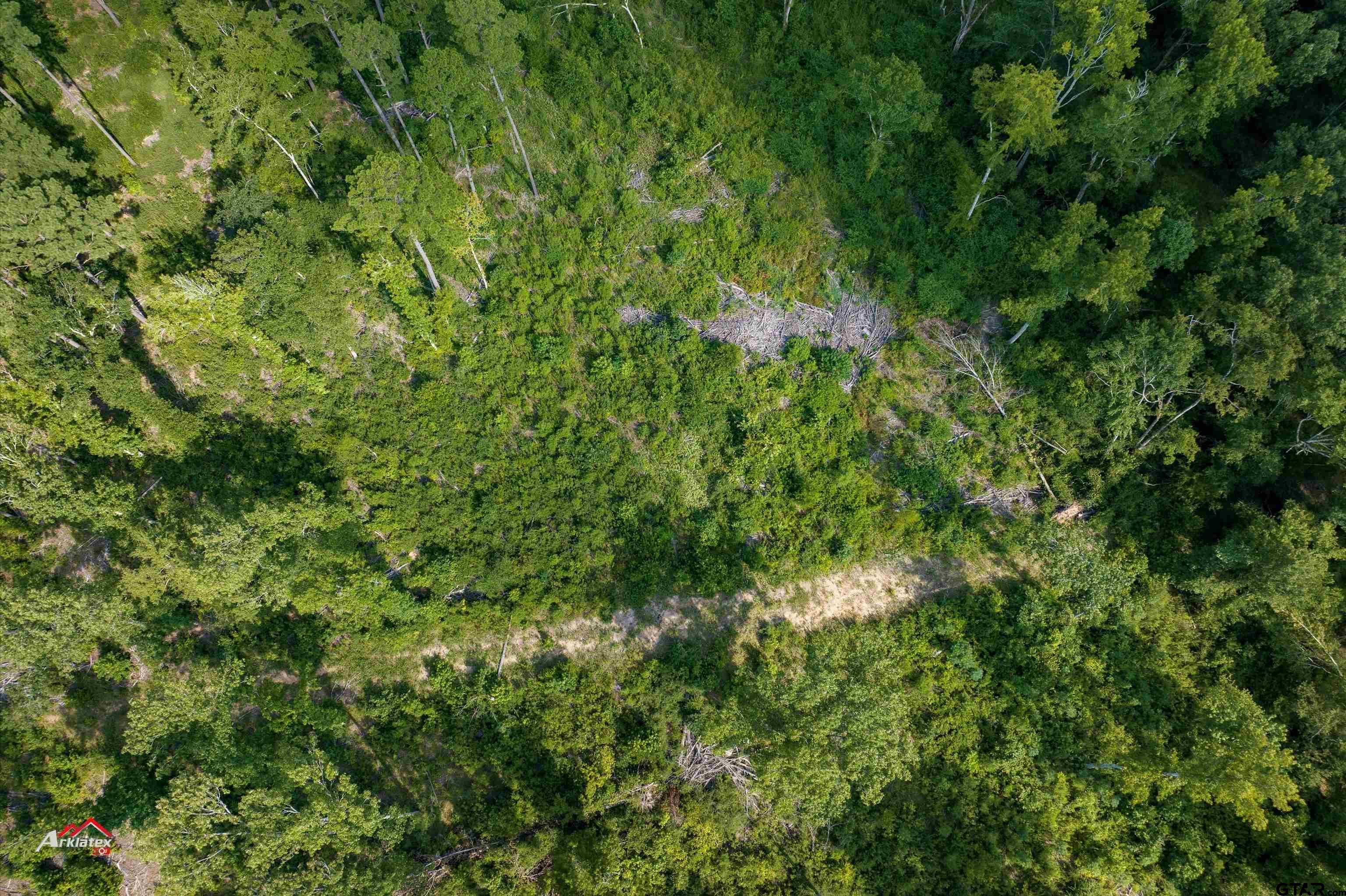 25.975 Ac Fm 2658 Tatum, TX 75691 - Photo 9 of 14