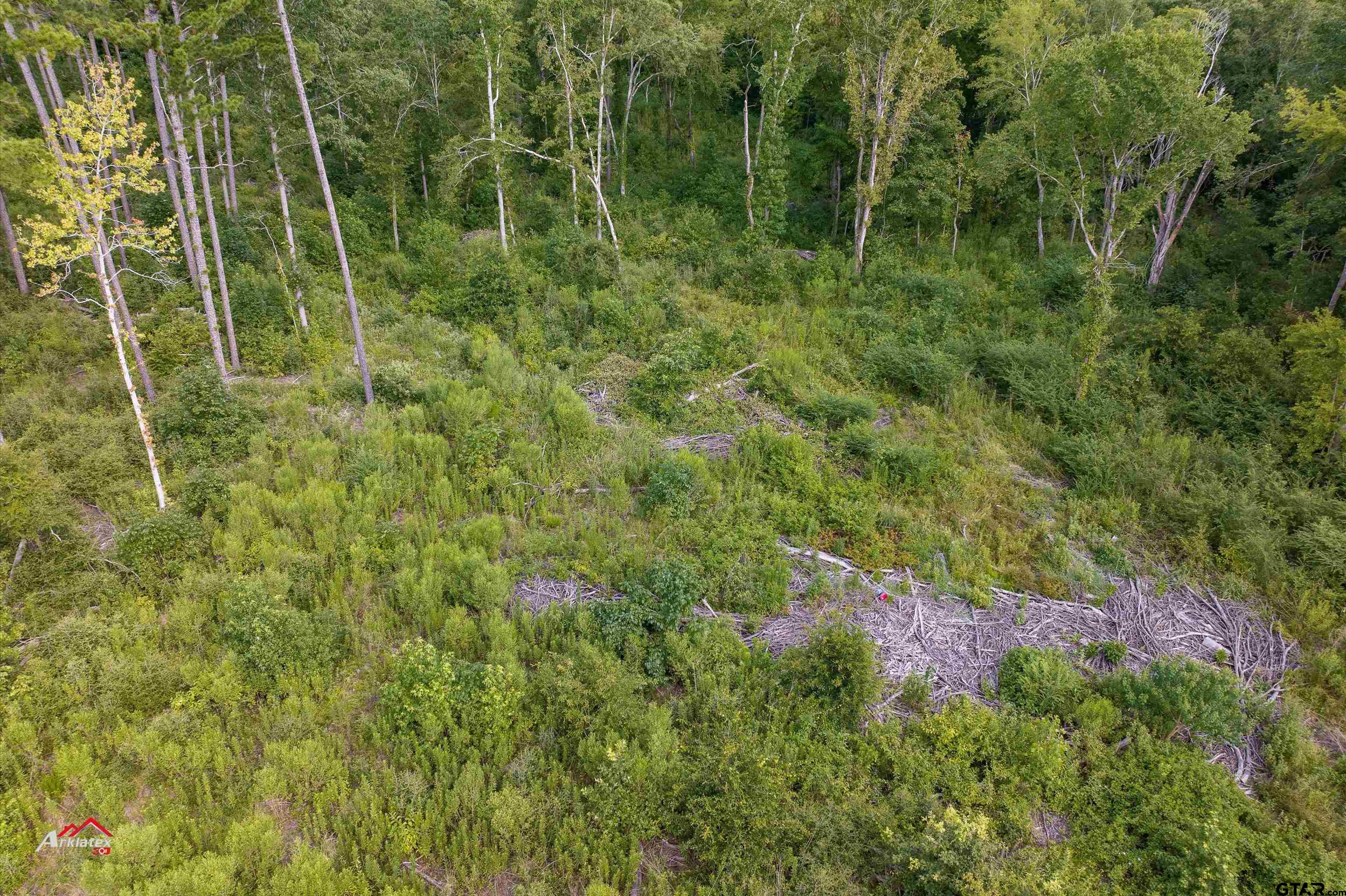 25.975 Ac Fm 2658 Tatum, TX 75691 - Photo 10 of 14