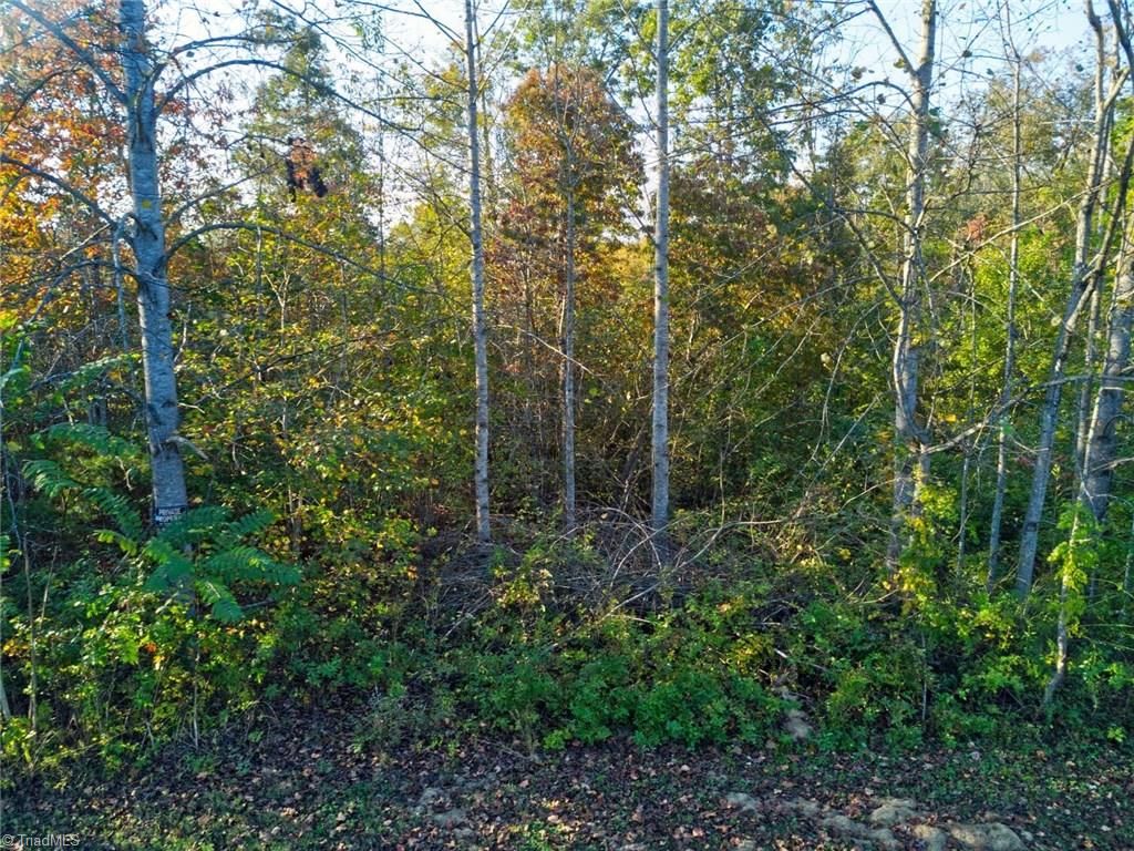 196 Cp Riddle Trail Mount Airy, NC 27030 - Photo 1 of 15 Gallery Image 1