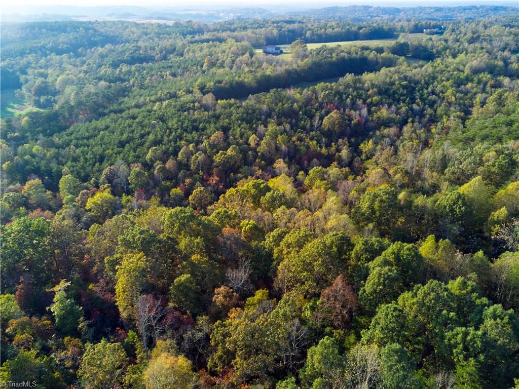 196 Cp Riddle Trail Mount Airy, NC 27030 - Photo 2 of 15 Gallery Image 2