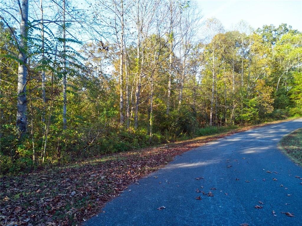 196 Cp Riddle Trail Mount Airy, NC 27030 - Photo 11 of 15 Gallery Image 11