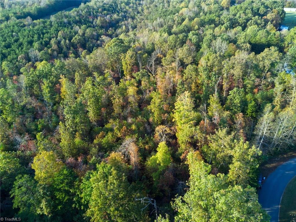 196 Cp Riddle Trail Mount Airy, NC 27030 - Photo 12 of 15 Gallery Image 12