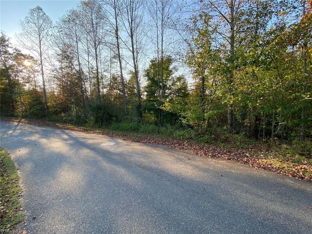 196 Cp Riddle Trail Mount Airy, NC 27030 - Photo 14 of 15 Gallery Image 14