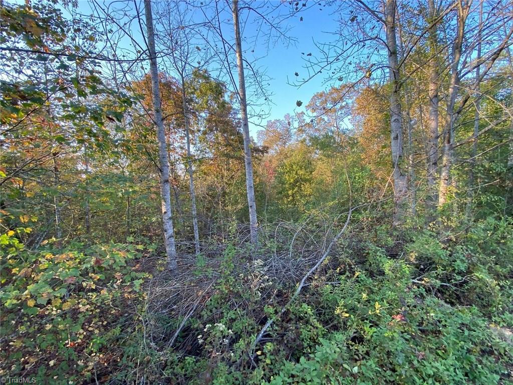 196 Cp Riddle Trail Mount Airy, NC 27030 - Photo 3 of 15 Gallery Image 3