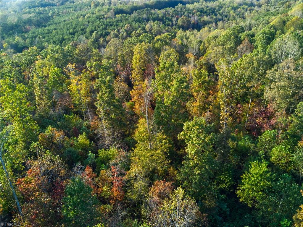 196 Cp Riddle Trail Mount Airy, NC 27030 - Photo 4 of 15 Gallery Image 4