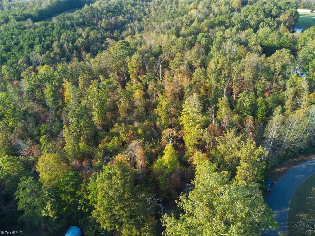 196 Cp Riddle Trail Mount Airy, NC 27030 - Photo 8 of 15 Gallery Image 8