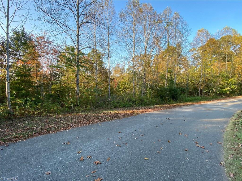196 Cp Riddle Trail Mount Airy, NC 27030 - Photo 10 of 15 Gallery Image 10