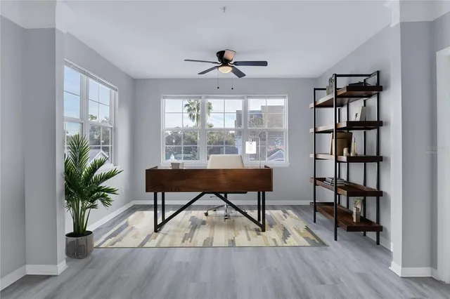 a living room with furniture a bookshelf and a potted plant