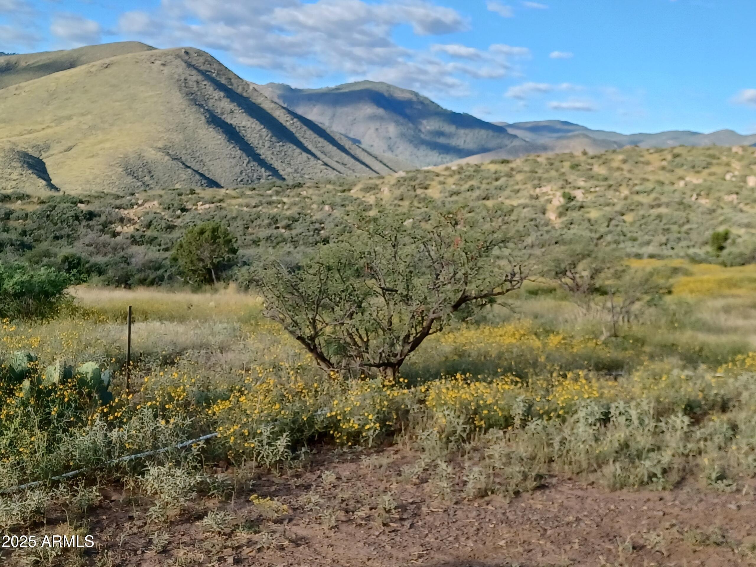 5668 Miners Pick Road Mayer, AZ 86333 - Photo 3 of 39 GNHI8221