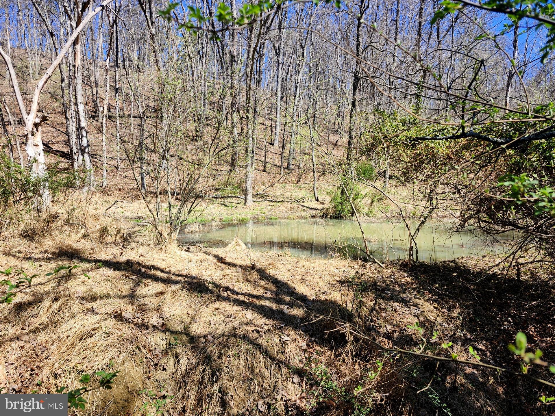 A J Kelley Road Old Fields, WV 26845 - Photo 15 of 65