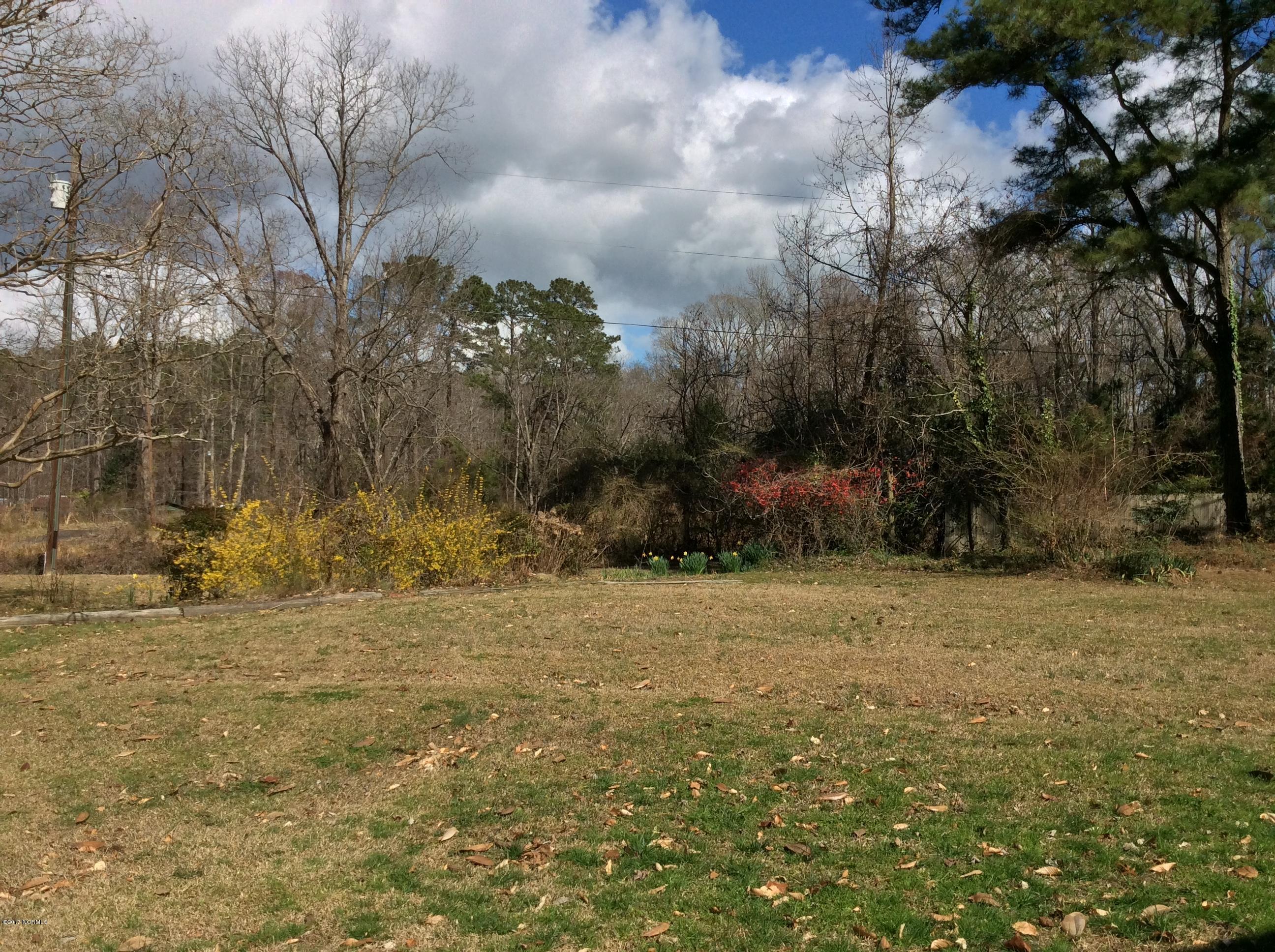115 Patricia Road Washington, NC 27889 - Photo 40 of 47 20170224_180011522_iOS