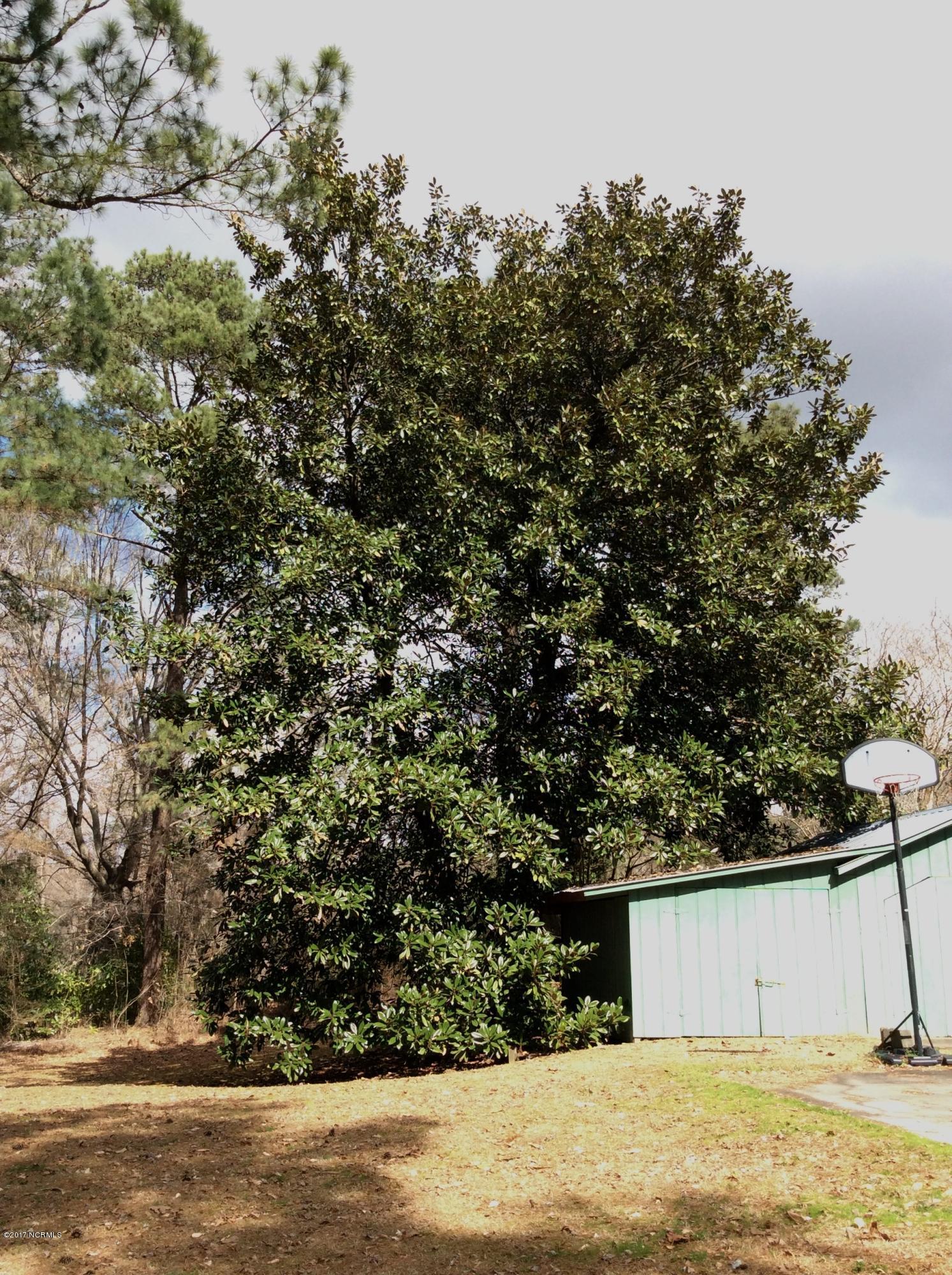 115 Patricia Road Washington, NC 27889 - Photo 42 of 47 20170224_164429900_iOS
