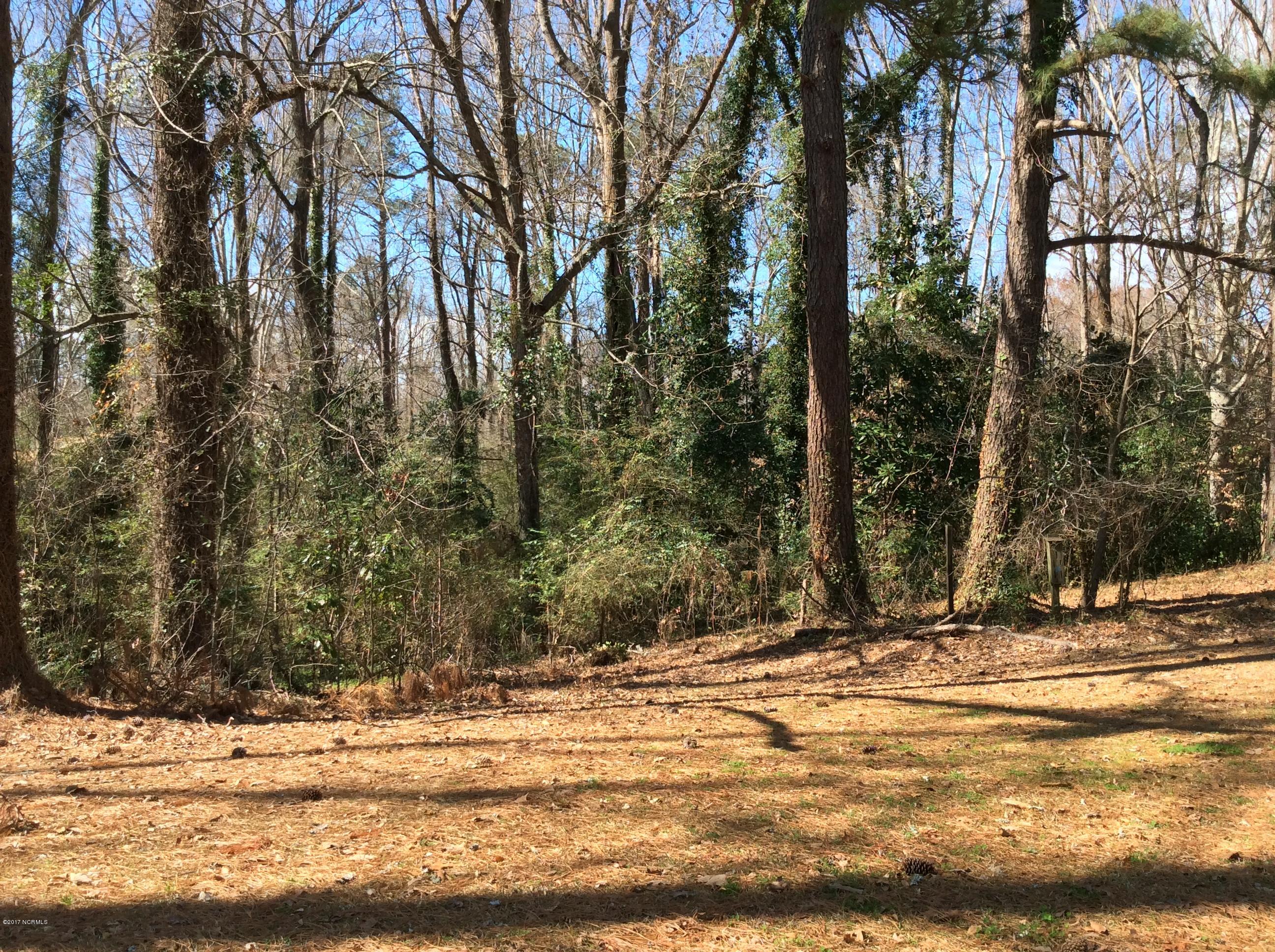 115 Patricia Road Washington, NC 27889 - Photo 43 of 47 20170224_175853884_iOS