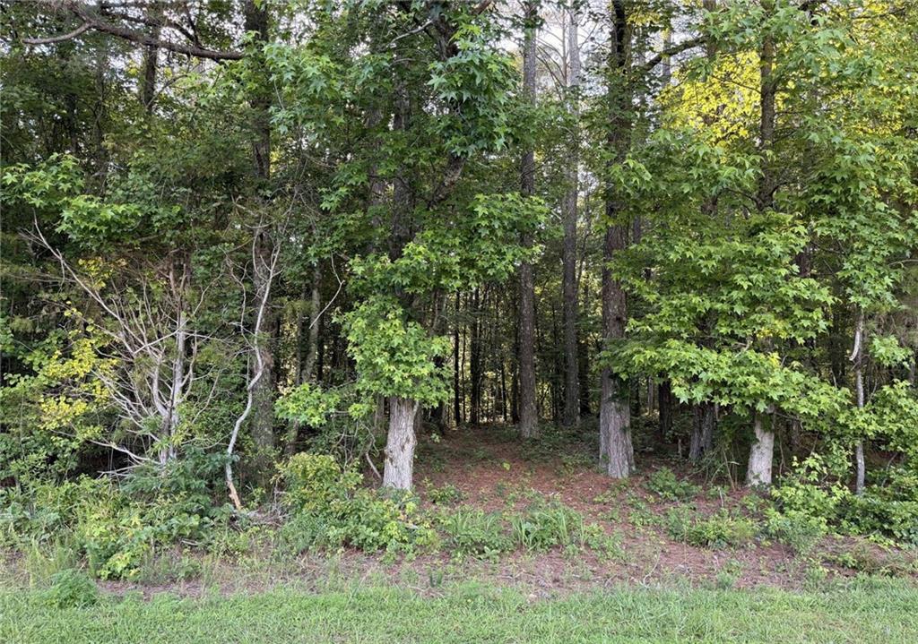 1 Wildcat Road Buchanan, GA 30113 - Photo 21 of 23
