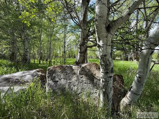 $4,000,000 | 2750 North 2750 East, Teton, ID 83451