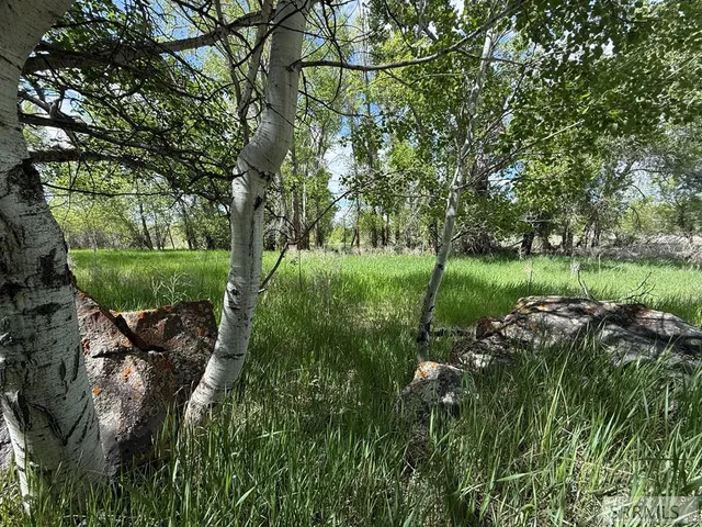 $4,000,000 | 2750 North 2750 East, Teton, ID 83451