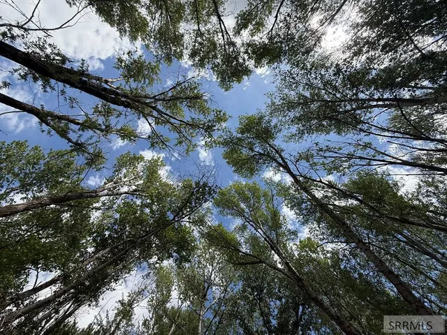 $4,000,000 | 2750 North 2750 East, Teton, ID 83451