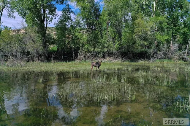 $4,000,000 | 2750 North 2750 East, Teton, ID 83451