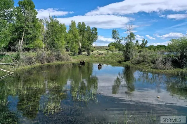 $4,000,000 | 2750 North 2750 East, Teton, ID 83451