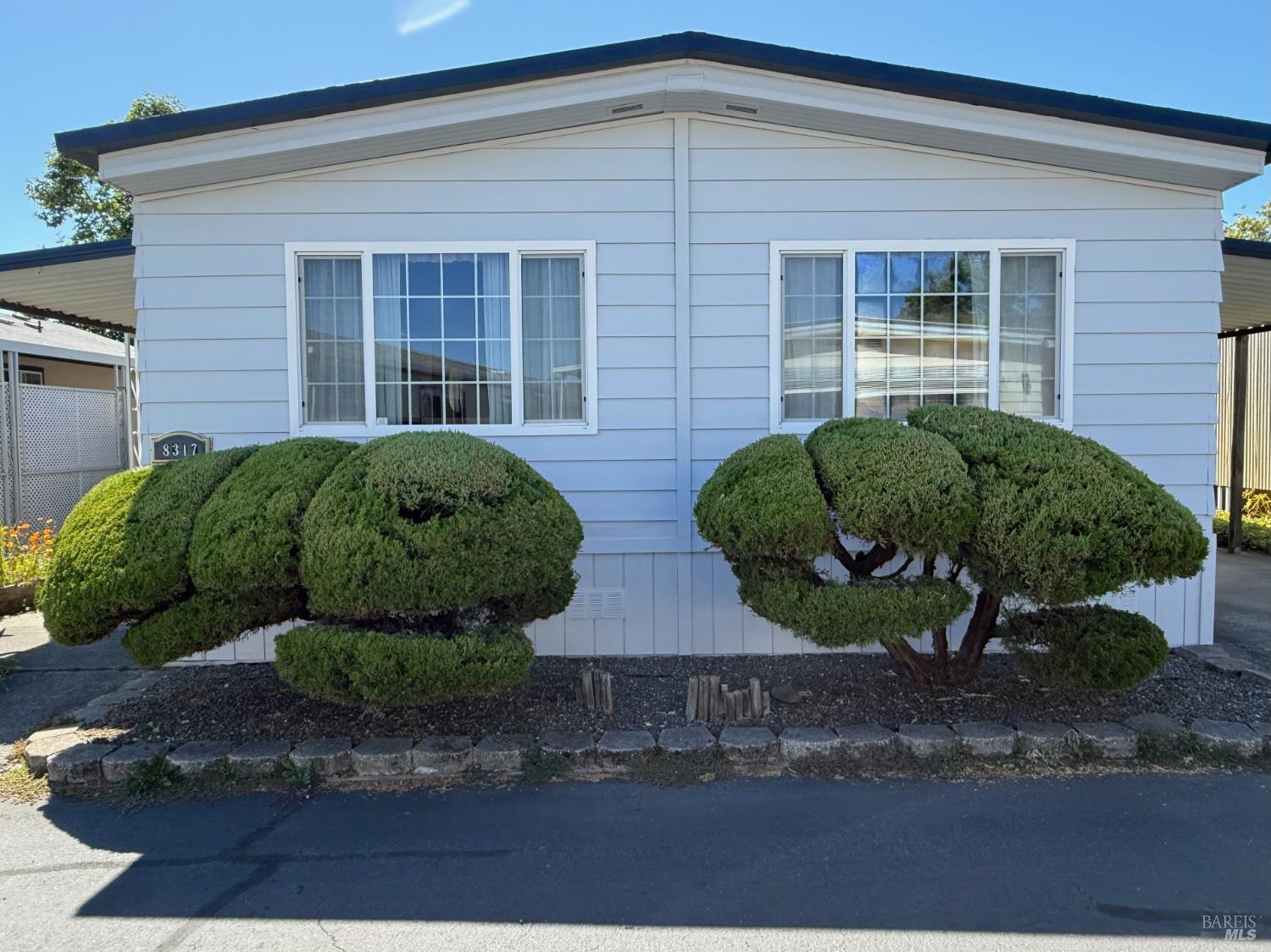 a view of a backyard