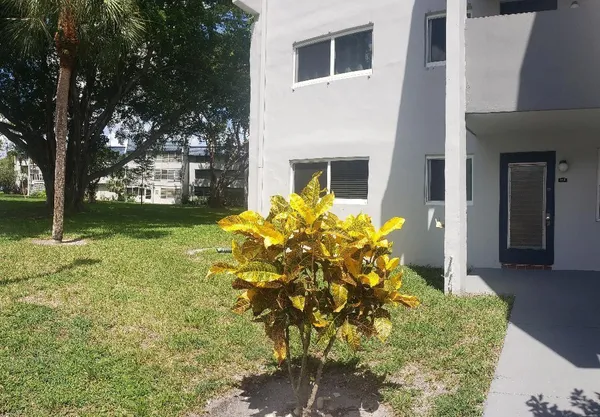 a bunch of flowers in front of house