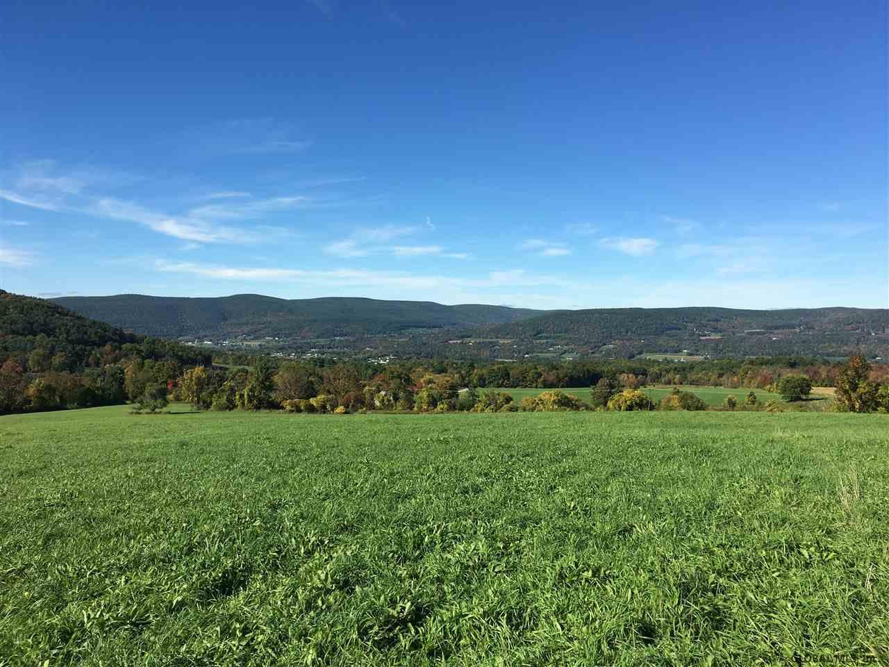 4 Colby Road Schoharie, NY 12157 - Photo 1 of 38 Photo 1