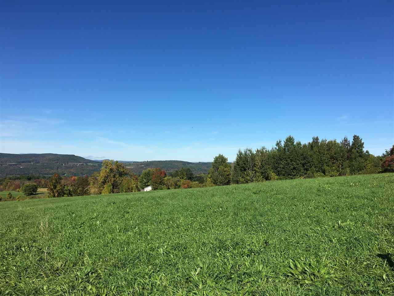 4 Colby Road Schoharie, NY 12157 - Photo 11 of 38 Photo 11