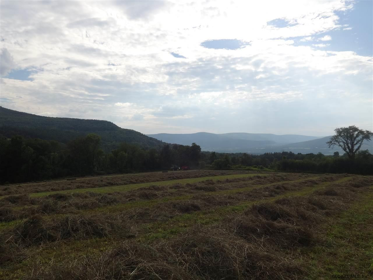 4 Colby Road Schoharie, NY 12157 - Photo 14 of 38 Photo 14