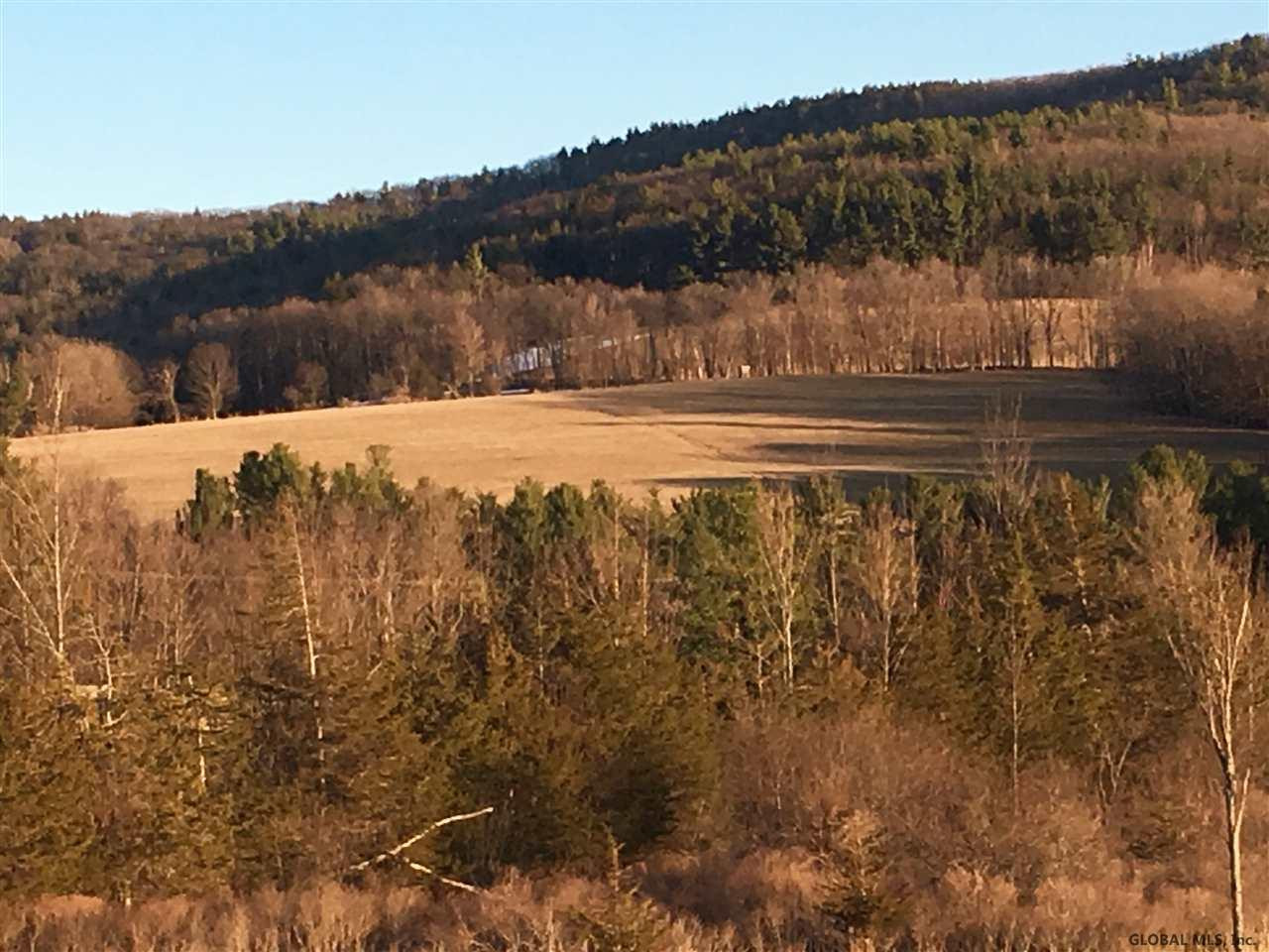 4 Colby Road Schoharie, NY 12157 - Photo 27 of 38 Photo 27