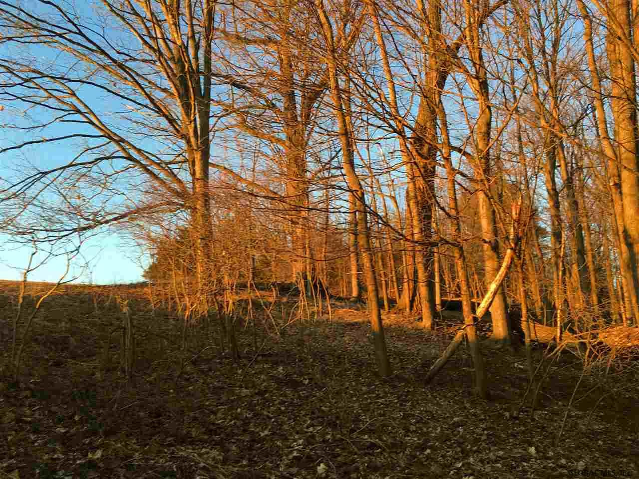4 Colby Road Schoharie, NY 12157 - Photo 31 of 38 Photo 31