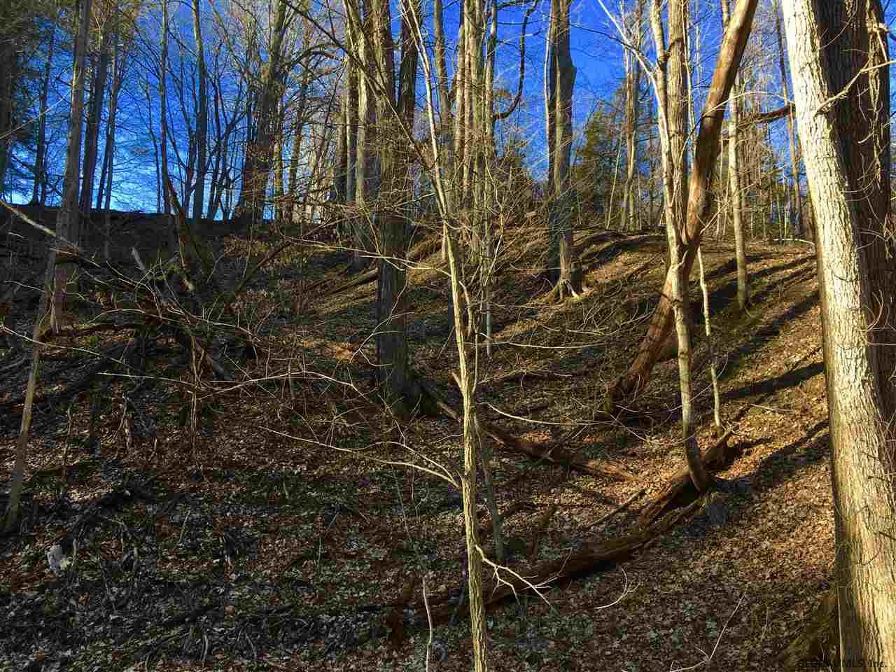 4 Colby Road Schoharie, NY 12157 - Photo 38 of 38 Photo 38