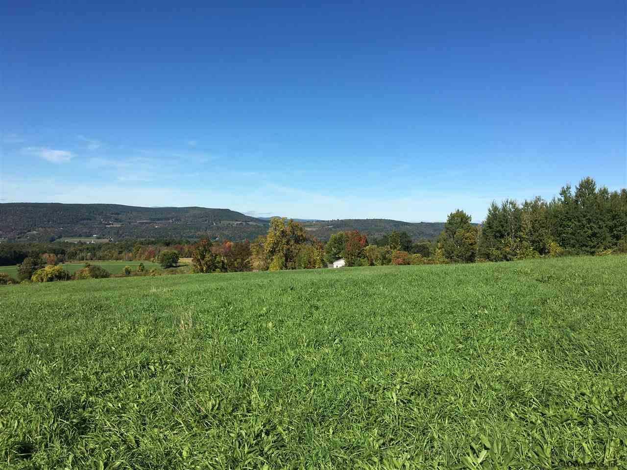 4 Colby Road Schoharie, NY 12157 - Photo 7 of 38 Photo 7