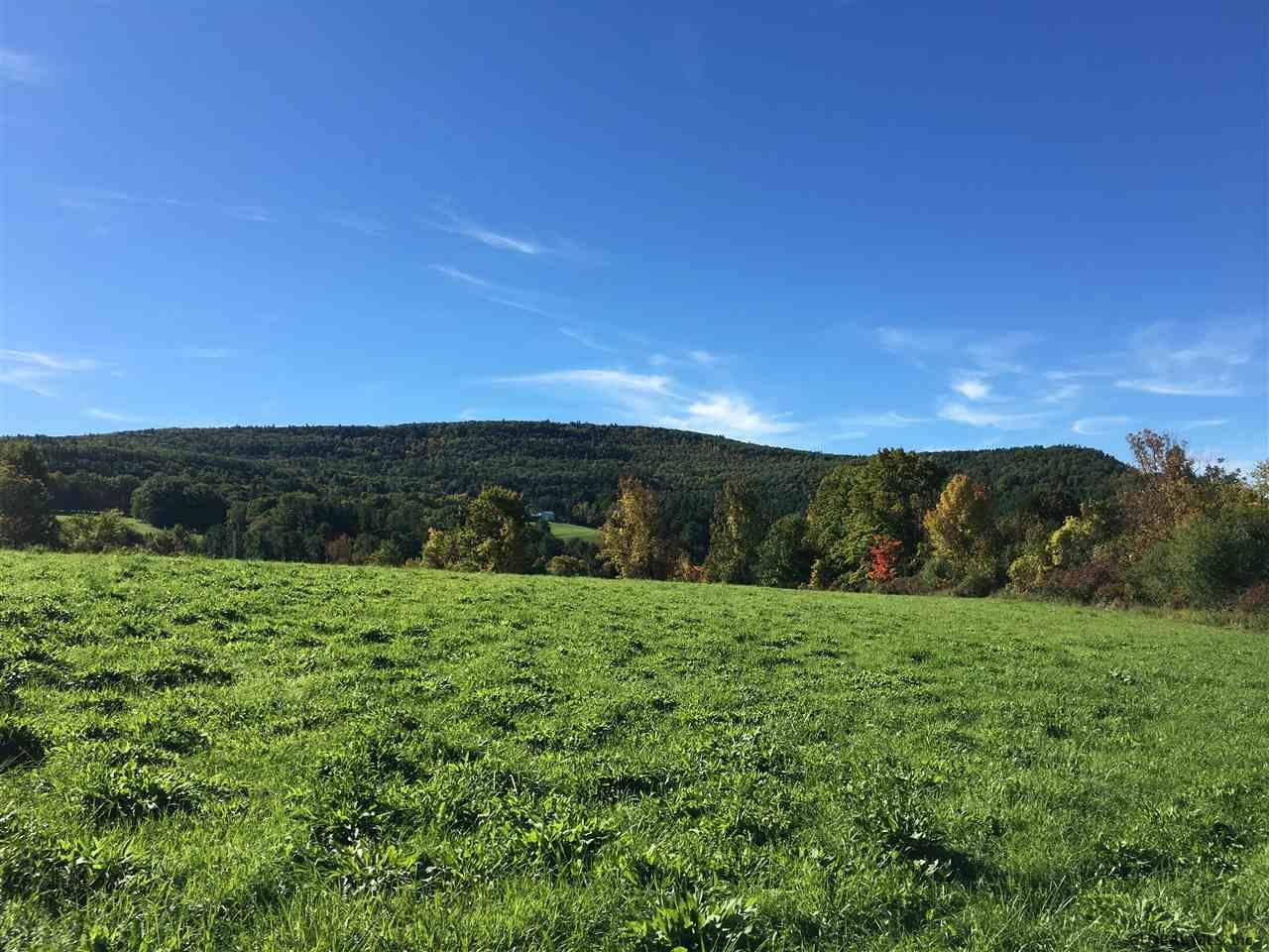 4 Colby Road Schoharie, NY 12157 - Photo 8 of 38 Photo 8