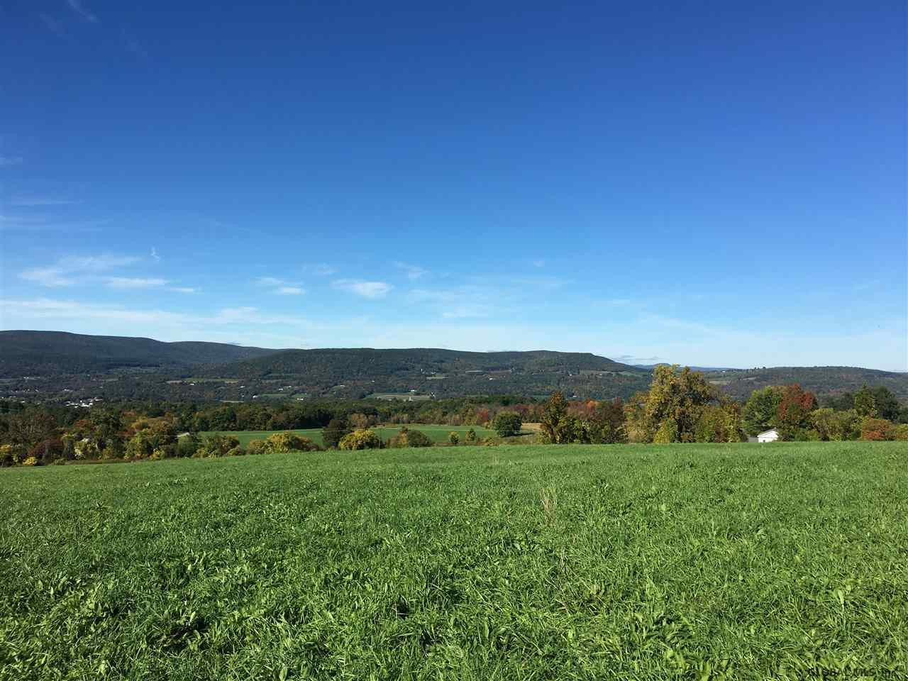 4 Colby Road Schoharie, NY 12157 - Photo 9 of 38 Photo 9