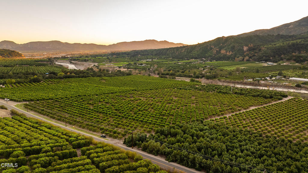 0 Fillmore Street Fillmore, CA 93015 - Photo 14 of 17 a view of a lush green hillside and a houses with the trees
