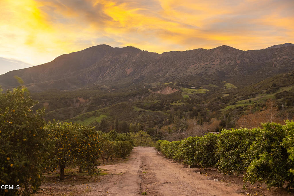 0 Fillmore Street Fillmore, CA 93015 - Photo 6 of 17 a view of a dry yard with mountains in the background