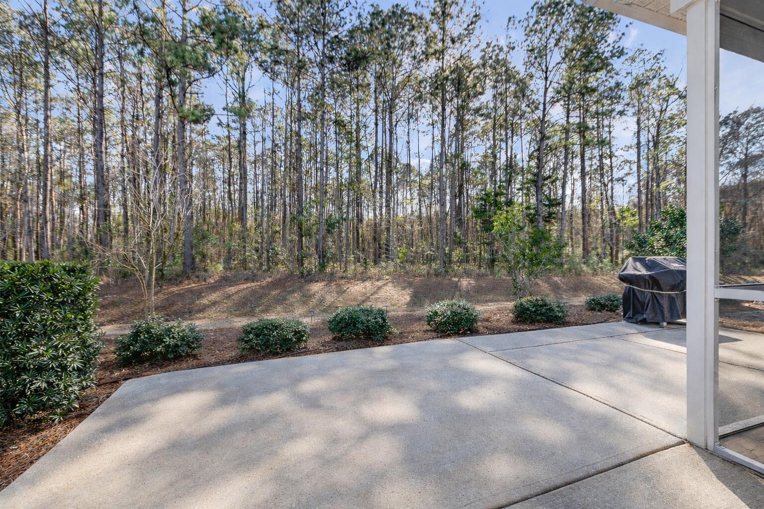 2568 KINGSFIELD Street Mount Pleasant, SC 29466 - Photo 7 of 34 clearedpatio