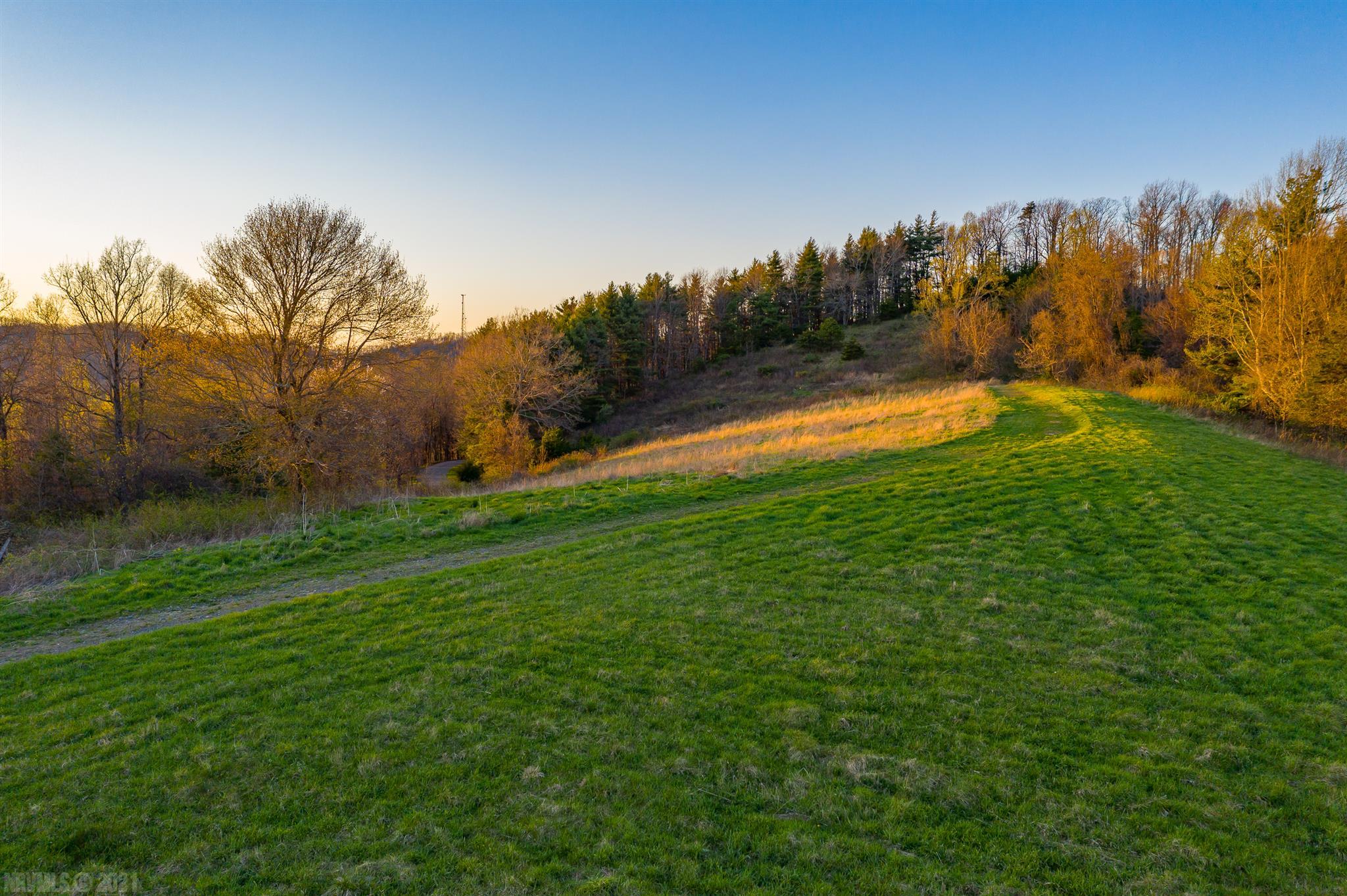 33-acres Ridge Road Austinville, VA 24312 - Photo 62 of 74 Gallery Image 62