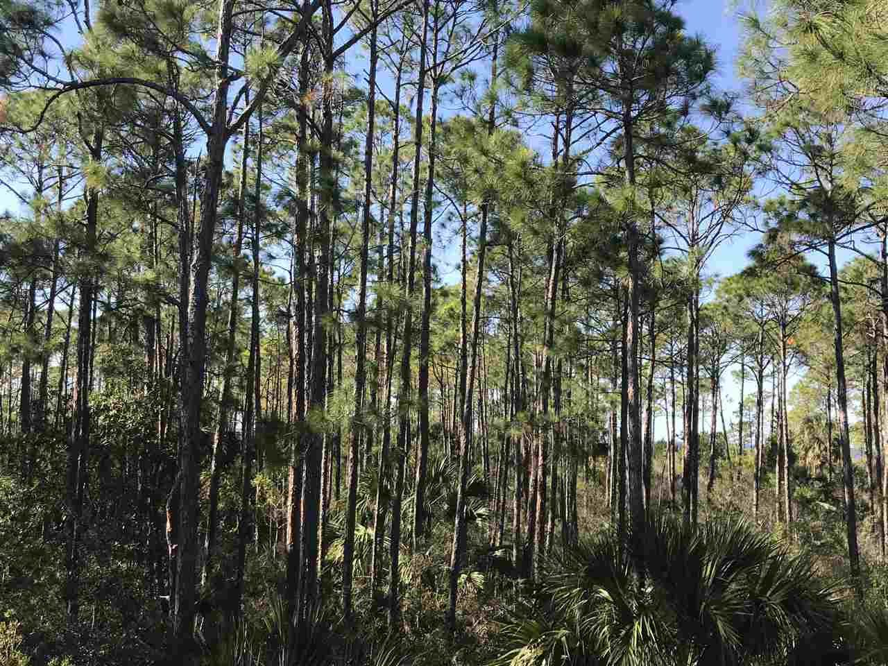 16721 Jabo Road Perry, FL 32348 - Photo 5 of 17 Gallery Image 5