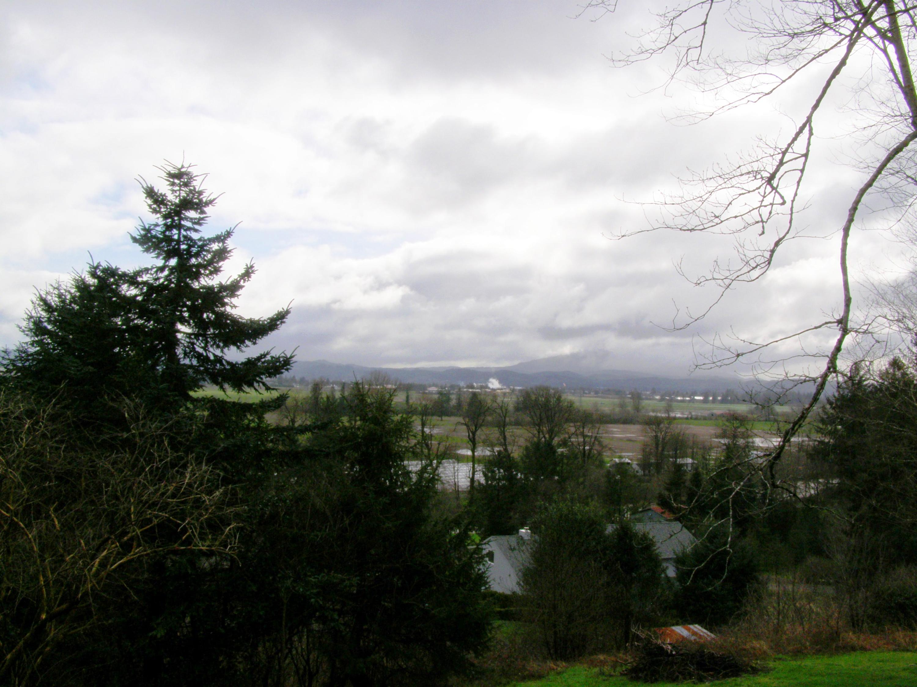 Tl# 500 Hubert Road Tillamook, OR 97141 - Photo 7 of 22 P3102722
