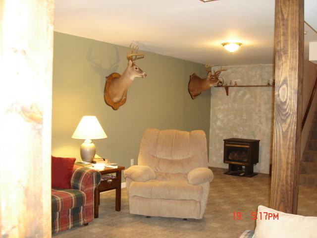 2502 Poteet Road Hardy, VA 24101 - Photo 14 of 19 a living room with furniture and a fireplace