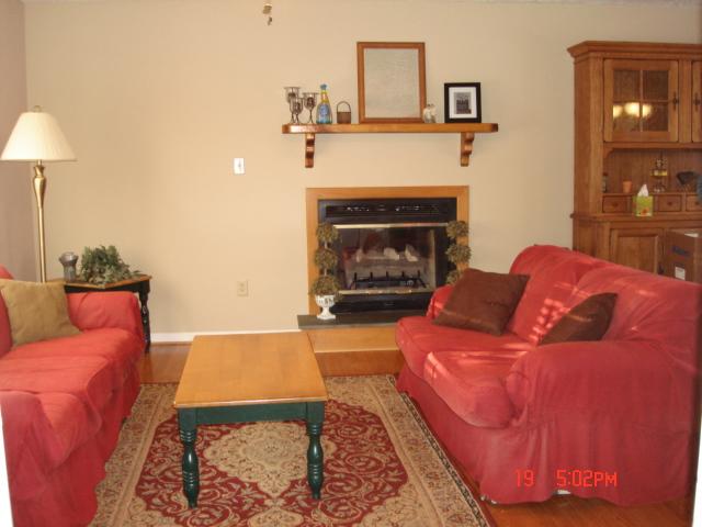 2502 Poteet Road Hardy, VA 24101 - Photo 3 of 19 a living room with furniture and a fireplace