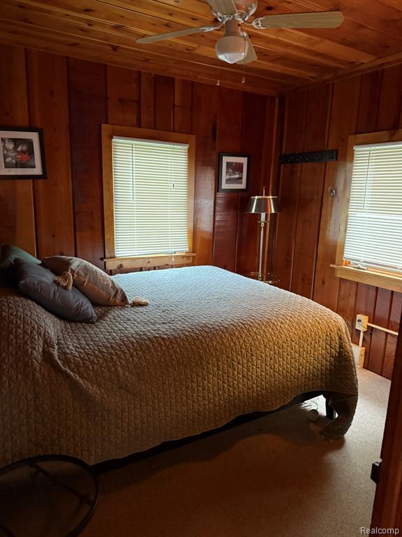 4348 Shrew Road Lincoln, MI 48742 - Photo 15 of 17